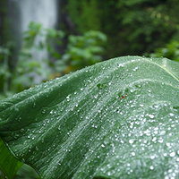 Photo de Bali - Autour de Munduk